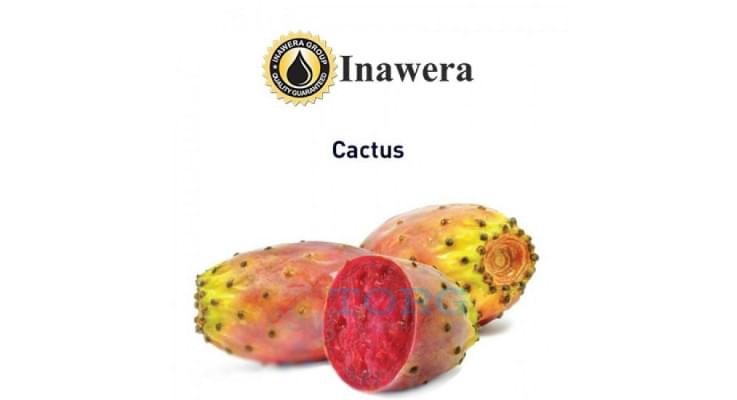 Изображение Ароматизатор Inawera Cactus Ароматизатор Inawera Cactus