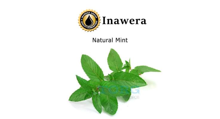 Изображение Ароматизатор Inawera Natural Mint Ароматизатор Inawera Natural Mint