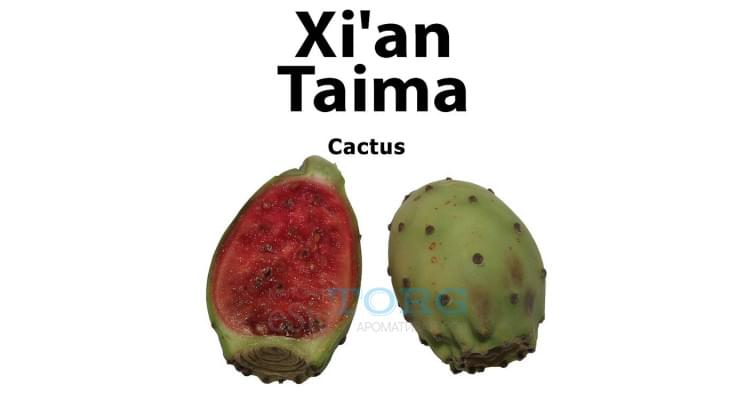 Изображение Ароматизатор Xi'an Taima Cactus Ароматизатор Xi'an Taima Cactus
